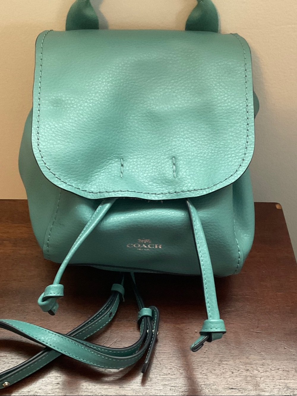 COACH Teal Green Mini Leather Backpack